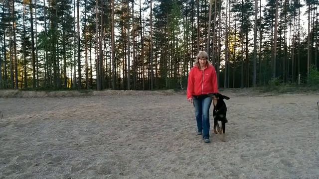 Команды из движения