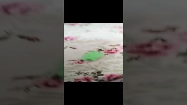 1aa9bcb6a93046cfb80393e2ef3dea95