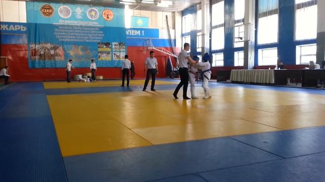 Джиу-джитсу