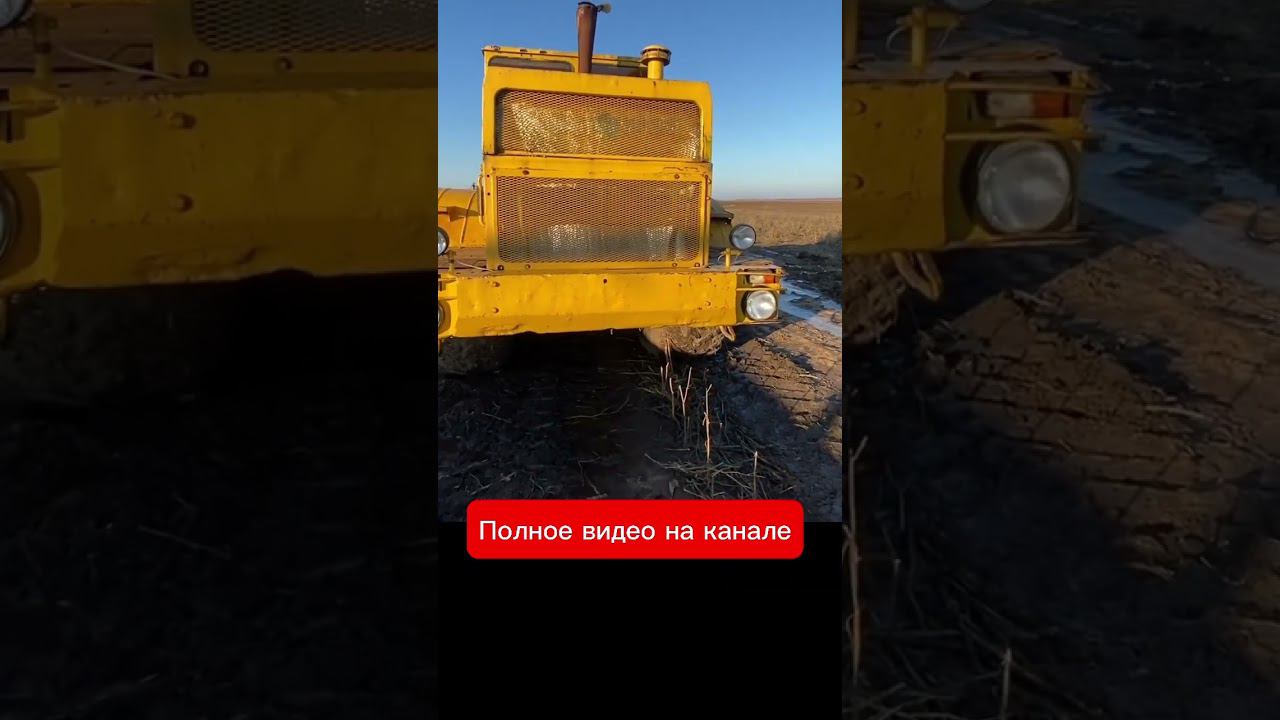 Примерз ВОЛГАРЬ, озимая пшеница. Новое видео на канале