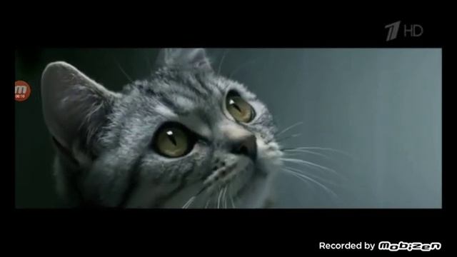 Кулинарные проекты с Валентиной