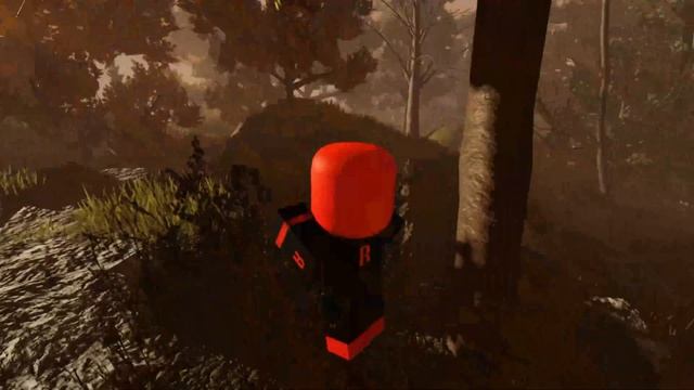 45e69cd3c3bf2d45ed37f822dcc94a4e