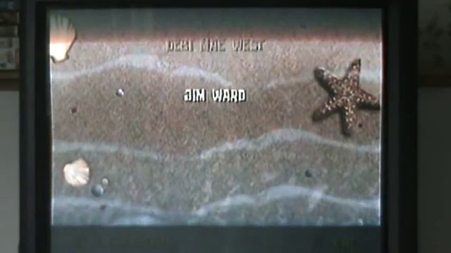 100% Completion Ending And Credits Spongebob Squarepants The Movie The Video Game Walkthrough