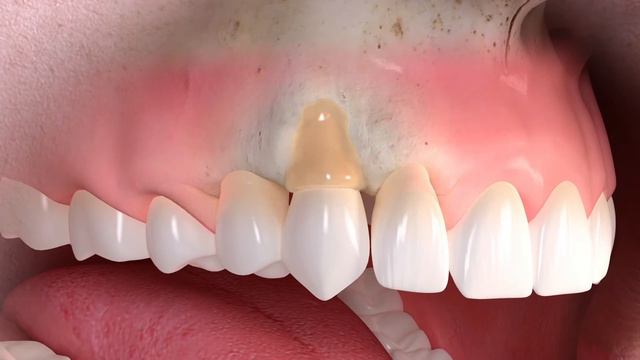 Образование и успех