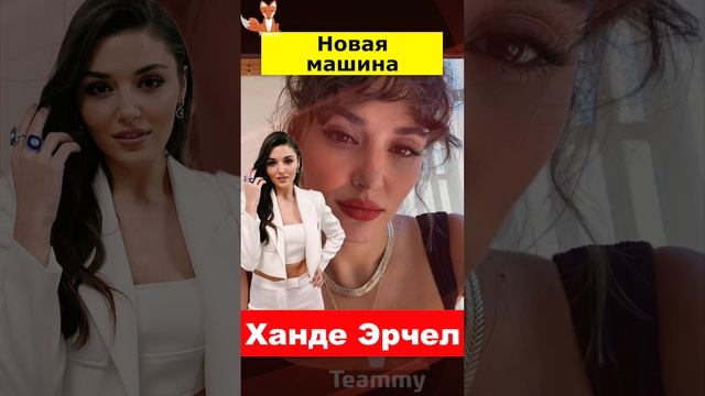 95b1805f36dbf731dcc4ef9553ae2216