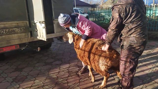 4656f257c735044497f07fcdf90c88aa