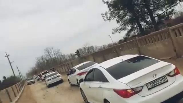 ТУЙ ДАР ТОЧИКИСТОН зури бад