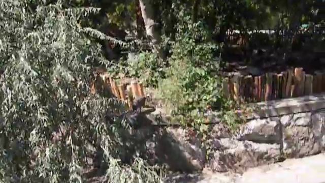 Судак, парк ТОК 