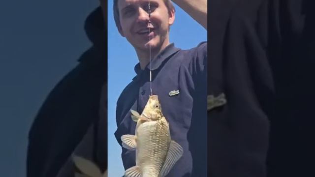 Река Кочеты, рыбалка в Красносельском.