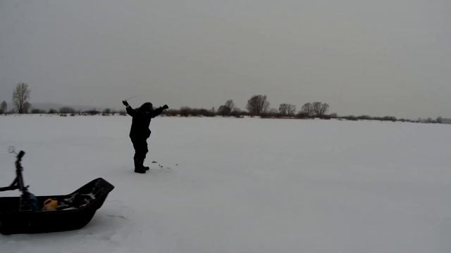 Волжский окунь на балансир