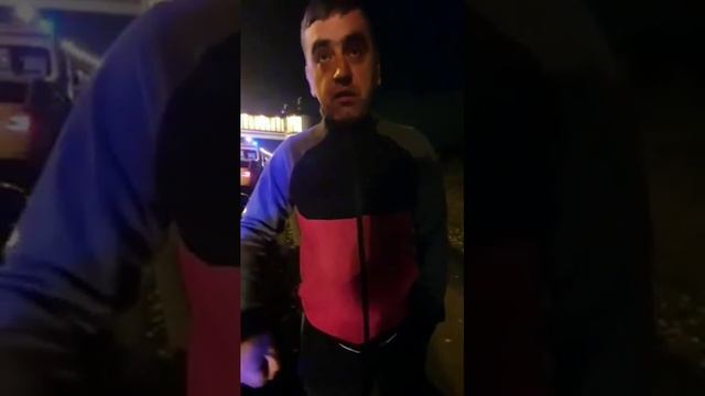 Для поднятия  настроение! #funnyanimals #tik Tok#funnycats #funnyvideo #kucinglucu #shorts