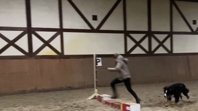 КопкопКопия