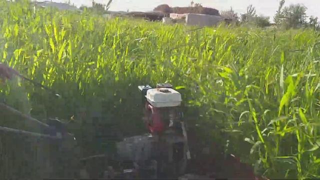 Самодельный мотоблок жатка