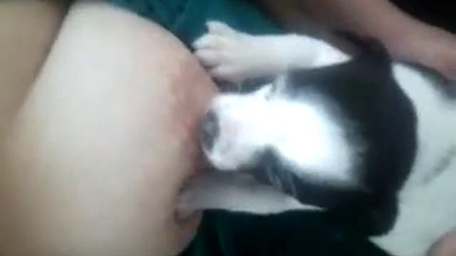 Вот так и вы кормили...))? Собаки тоже дети:))?