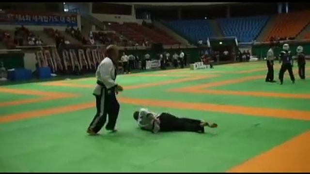 Master Borucki - 2010 World Hapkido Championships In Gwangju, South Korea