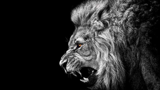 Магический мир веры