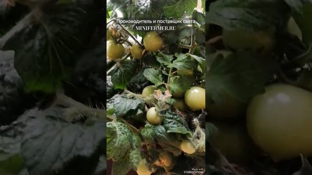 974d6a8a00c1033845b3c9ebddb9dad8