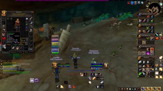 HardCore Holy Paladin Healing WC  1 Death = Delete