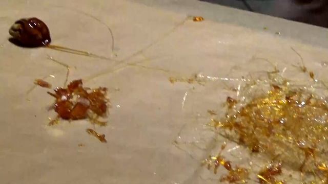 Мастер-класс Кулинарной студии Live Kitchen