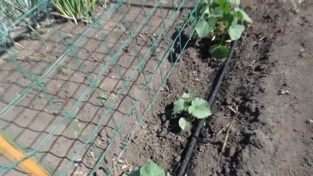 Бюджетная поливалка (часть 2)