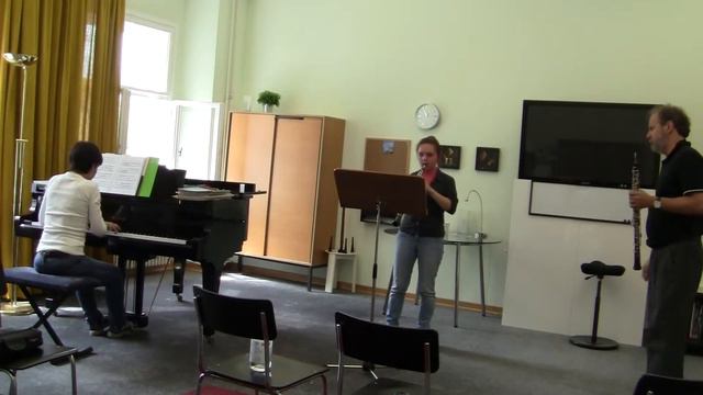 Мария Лалазарова. Мастеркласс у голландского профессора Henrik Goldschmidtdt