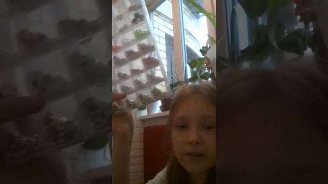 4c689a8dc5f8add50c1b5f33658a2ad2