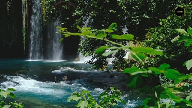 Safir 9. Bölüm 2. Fragmanı