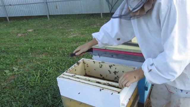 5f5e47a8ec24938cf755b426718f8961