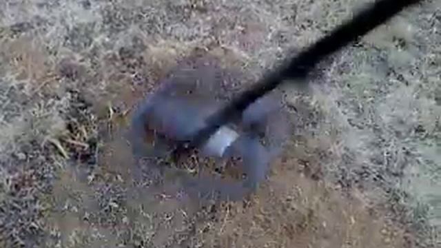 TESORO DELEON VS MİNELAB E TRACK  26MM COİN  25CM