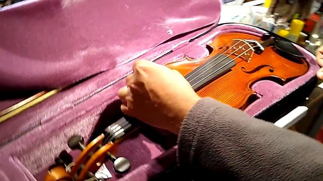 Comprobación Violín Gliga Genial 1 Para Celeste
