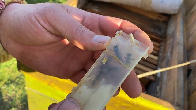 Матководство для начинающих.Готовим стартер!