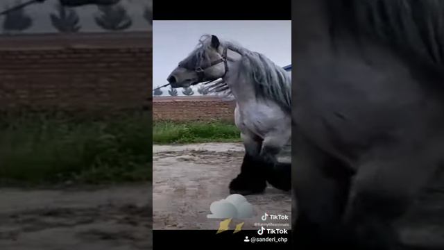 747aaa6bfc25edc180e63400df363fc1