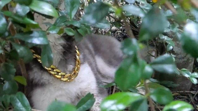 ข้าวนุ่มม!! เอาอีกแล้วถ่ายรูปได้แปปเดียวเผลอไม่ได้เลย - ข้าวนึ่ง & เดอะแก๊ง