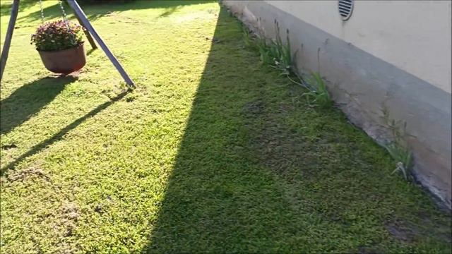 35a88fd89e881d435ae943c8ab694b03