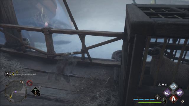 Hogwarts Legacy. What If You Continue Observe Dragons In Dragon Pit