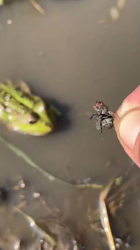 7d2168e6937a319d959ab011babaa05d