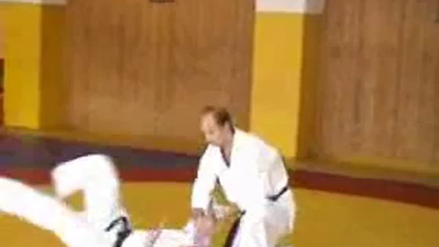 Тренировка шомен цуки котегаеси