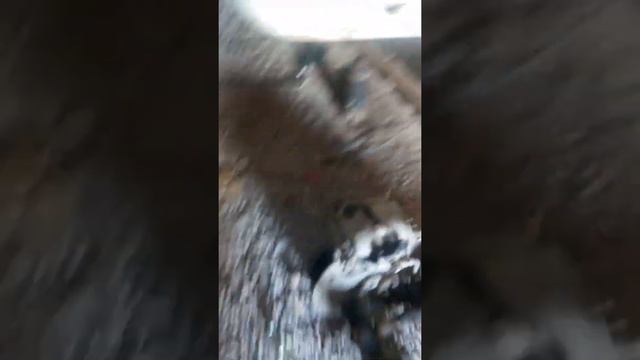 Инновационный потенциал сегодня