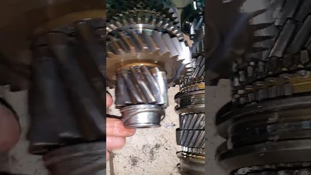 Домашний мастер дизайна