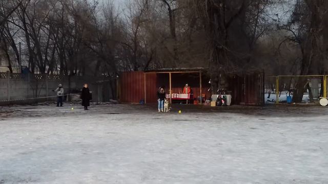 ЗСЛ Арчибальд