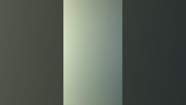 Dvorak Sonatina Op. 100