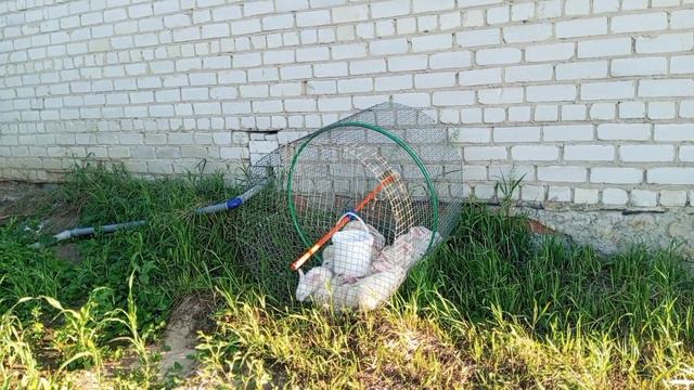 Необычная клетка для кроликов. Сама накормит и напоит. Вот только домой сама не возвращается.