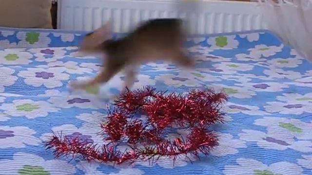 4e389aeb5330884a768b75bb55440f9f