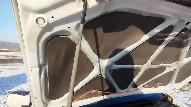 Toyota Vista Ardeo. Утеплитель капота.