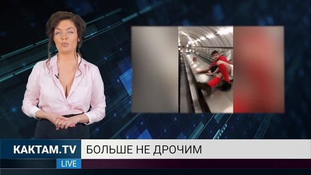 КАКТАМ Ласковый щетинистый мундиаль 14