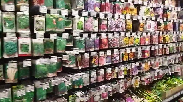 ОКЕЙ. Гладиолусы, флоксы, хосты, семена, лук севок, розы