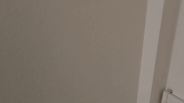 Будни Германии. Вывоз бытового мусора. #70323