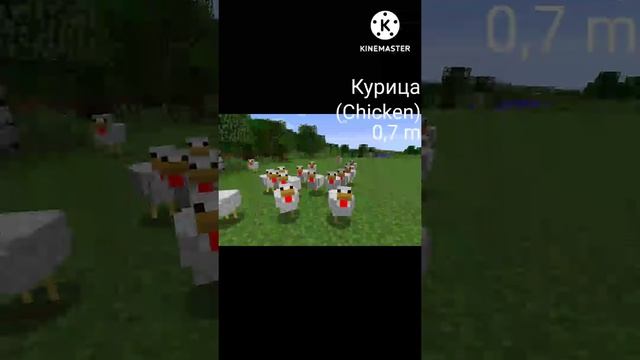 Сравнение Размеров: Мобы в Майнкрафте