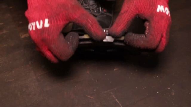 Грибные истории