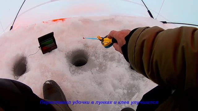 Пробуждение коматозного окунька